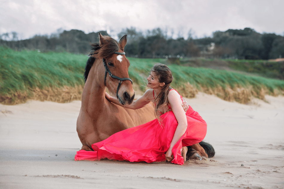 Photographe Animal de Compagnie